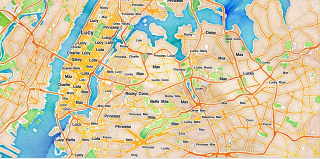 Illustration for article titled The Most Popular Dog Breeds and Names in NYC, Mapped